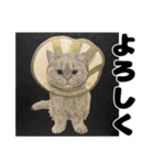 納期と戦う猫たち - 山田猫 vol.17（個別スタンプ：8）