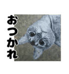 納期と戦う猫たち - 山田猫 vol.17（個別スタンプ：10）