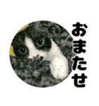 納期と戦う猫たち - 山田猫 vol.17（個別スタンプ：15）