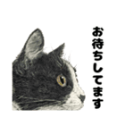 納期と戦う猫たち - 山田猫 vol.17（個別スタンプ：17）