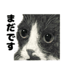 納期と戦う猫たち - 山田猫 vol.17（個別スタンプ：19）