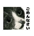 納期と戦う猫たち - 山田猫 vol.17（個別スタンプ：21）