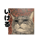 納期と戦う猫たち - 山田猫 vol.17（個別スタンプ：24）