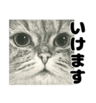 納期と戦う猫たち - 山田猫 vol.17（個別スタンプ：25）