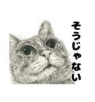 納期と戦う猫たち - 山田猫 vol.17（個別スタンプ：26）