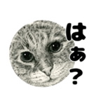 納期と戦う猫たち - 山田猫 vol.17（個別スタンプ：28）