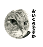 納期と戦う猫たち - 山田猫 vol.17（個別スタンプ：29）