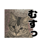 納期と戦う猫たち - 山田猫 vol.17（個別スタンプ：33）