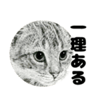 納期と戦う猫たち - 山田猫 vol.17（個別スタンプ：34）