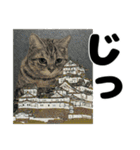 納期と戦う猫たち - 山田猫 vol.17（個別スタンプ：35）