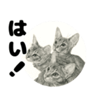 納期と戦う猫たち - 山田猫 vol.17（個別スタンプ：38）