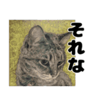 納期と戦う猫たち - 山田猫 vol.17（個別スタンプ：39）