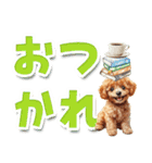 見やすい！トイプードルのでか文字スタンプ（個別スタンプ：3）