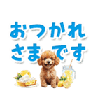 見やすい！トイプードルのでか文字スタンプ（個別スタンプ：4）