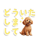 見やすい！トイプードルのでか文字スタンプ（個別スタンプ：7）