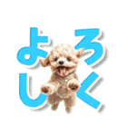 見やすい！トイプードルのでか文字スタンプ（個別スタンプ：9）