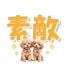 見やすい！トイプードルのでか文字スタンプ（個別スタンプ：14）