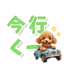 見やすい！トイプードルのでか文字スタンプ（個別スタンプ：18）