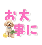 見やすい！トイプードルのでか文字スタンプ（個別スタンプ：22）