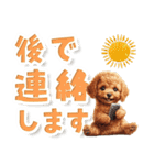 見やすい！トイプードルのでか文字スタンプ（個別スタンプ：27）