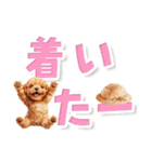 見やすい！トイプードルのでか文字スタンプ（個別スタンプ：28）