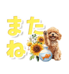 見やすい！トイプードルのでか文字スタンプ（個別スタンプ：30）