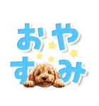 見やすい！トイプードルのでか文字スタンプ（個別スタンプ：32）