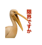 なかよしどうぶつ図鑑(毒吐くペリカンさん)（個別スタンプ：4）