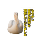 なかよしどうぶつ図鑑(毒吐くペリカンさん)（個別スタンプ：27）