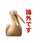 なかよしどうぶつ図鑑(毒吐くペリカンさん)（個別スタンプ：34）