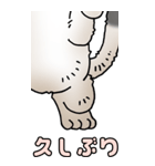 超BIGスタンプその3A（個別スタンプ：5）