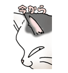超BIGスタンプその3A（個別スタンプ：9）