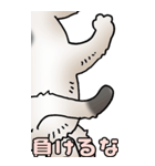 超BIGスタンプその3A（個別スタンプ：14）