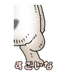超BIGスタンプその3A（個別スタンプ：16）