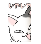 超BIGスタンプその3A（個別スタンプ：17）