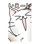 超BIGスタンプその3A（個別スタンプ：20）