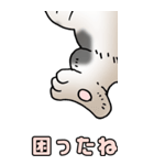 超BIGスタンプその3A（個別スタンプ：21）