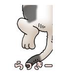 超BIGスタンプその3A（個別スタンプ：24）