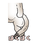 超BIGスタンプその3A（個別スタンプ：30）