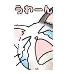 超BIGスタンプその3A（個別スタンプ：33）