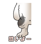 超BIGスタンプその3A（個別スタンプ：37）