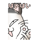 超BIGスタンプその3B（個別スタンプ：1）