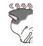 超BIGスタンプその3B（個別スタンプ：11）