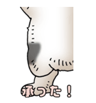 超BIGスタンプその3B（個別スタンプ：13）