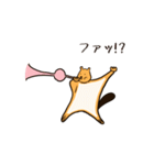 ムササビはキンチャナマスター（個別スタンプ：14）