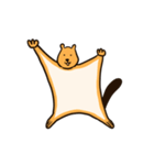 ムササビはキンチャナマスター（個別スタンプ：22）