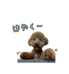 かわいいタリ（個別スタンプ：14）