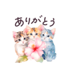 夏 でか文字 水彩ねこ 日常 毎日使える（個別スタンプ：9）