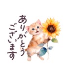 夏 でか文字 水彩ねこ 日常 毎日使える（個別スタンプ：10）
