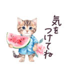 夏 でか文字 水彩ねこ 日常 毎日使える（個別スタンプ：24）